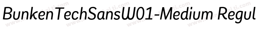 BunkenTechSansW01-Medium Regular字体转换
